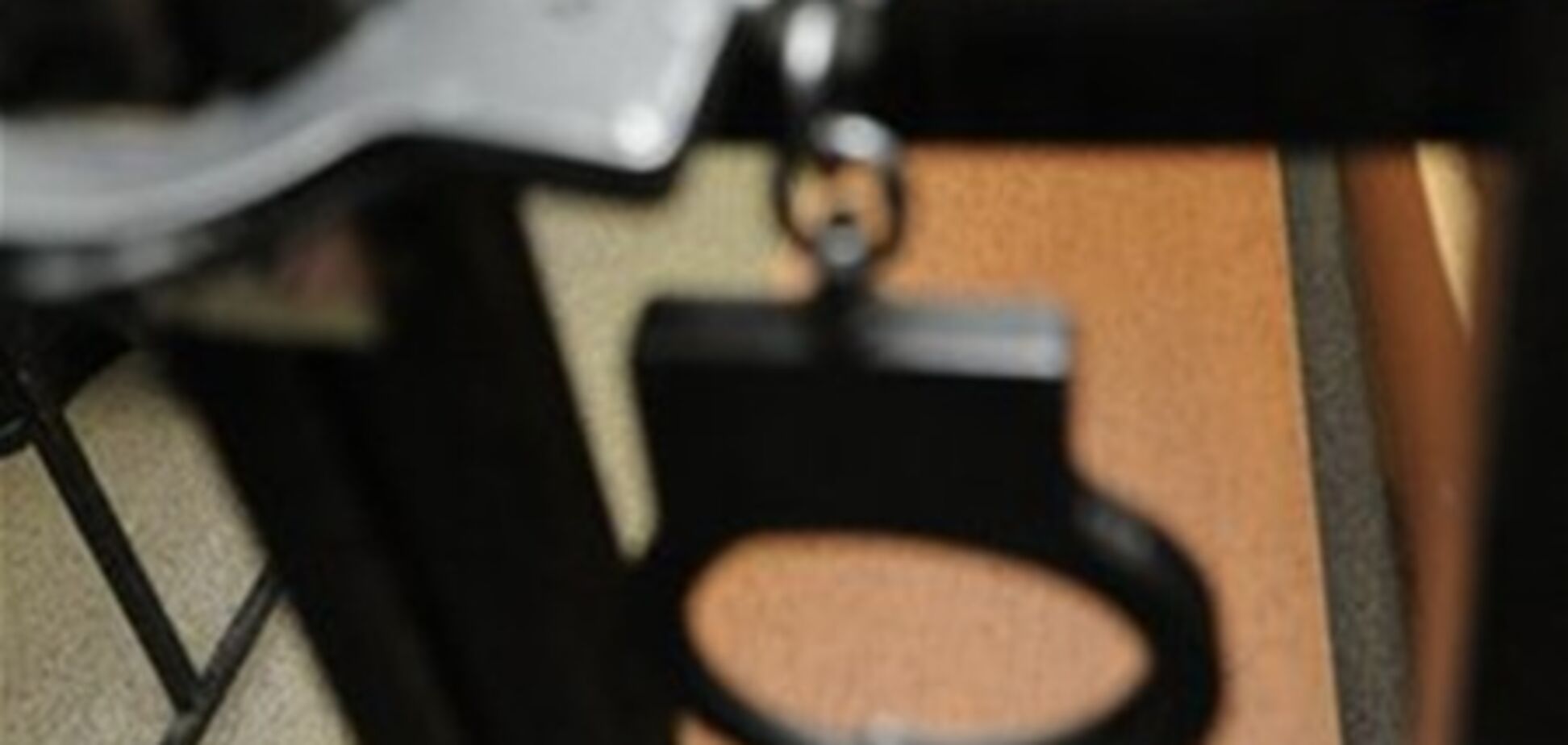 СБУ арестовала обуховского чиновника, продавшего два острова на Днепре