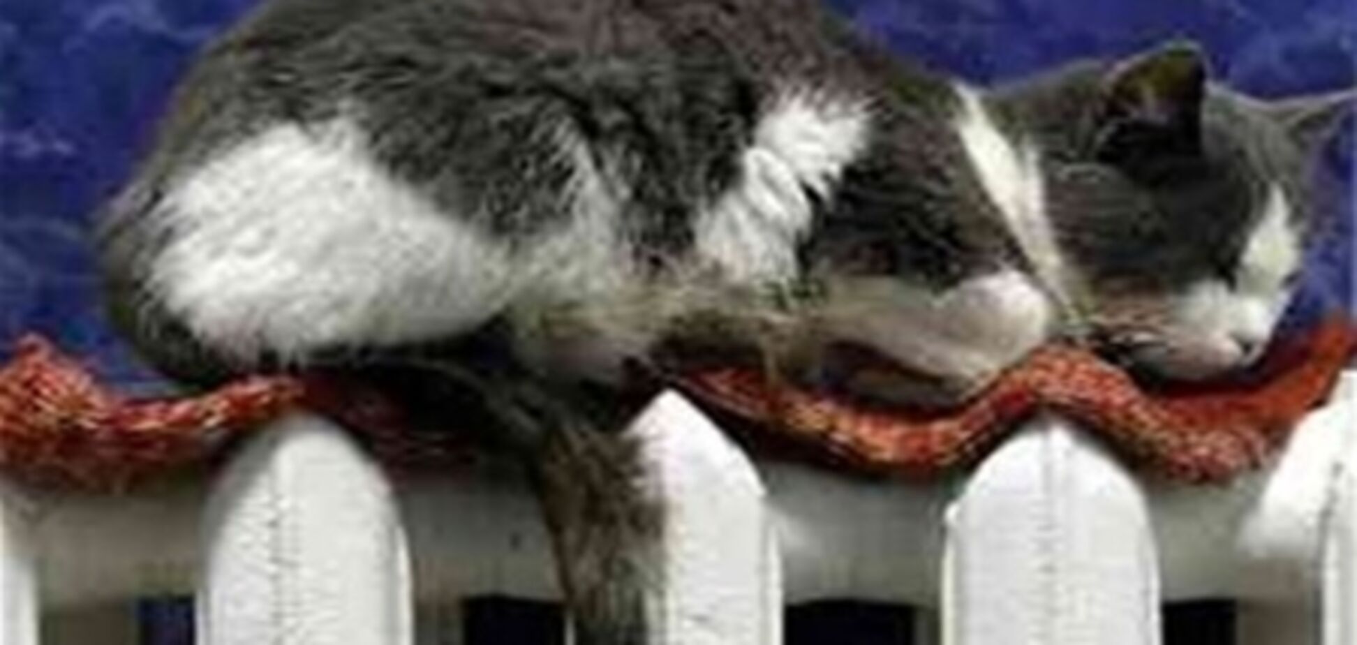 Как добиться перерасчета за недогрев или отсутствие горячей воды?