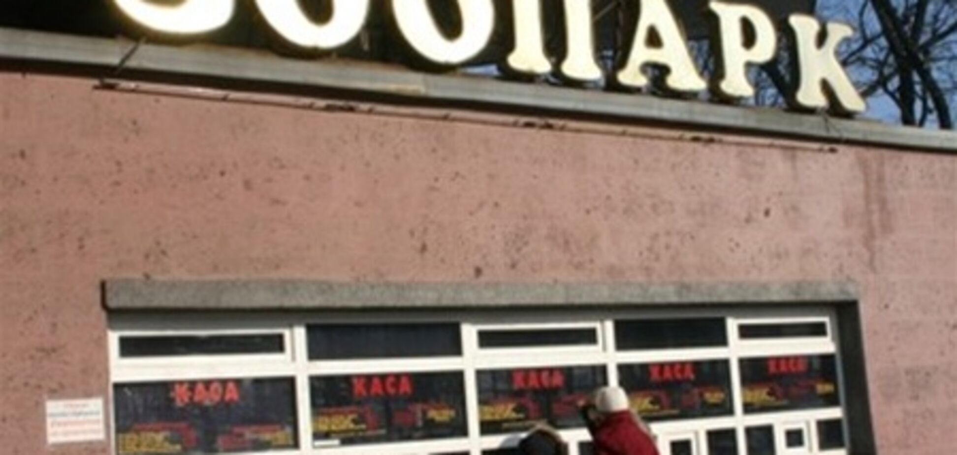 Животные в киевском зоопарке гибнут от яда