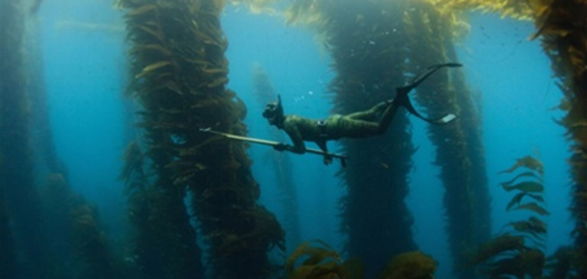 Підводне полювання