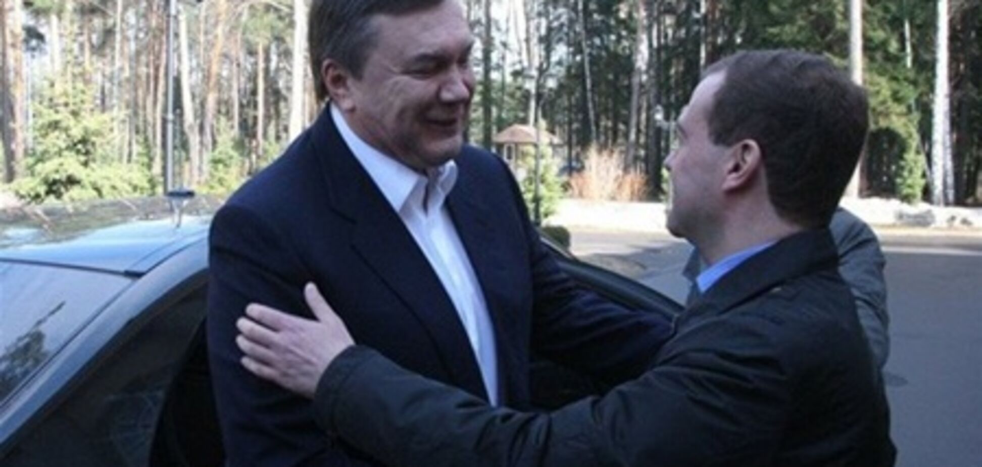 В Донецке ради Медведева деревья выкрасили в зеленый цвет