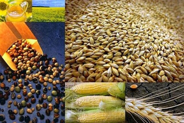 Янукович отменил пошлину на пшеницу и кукурузу