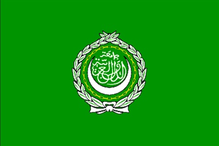 Глава ЛАГ: Арабские страны должны оказать помощь палестинцам