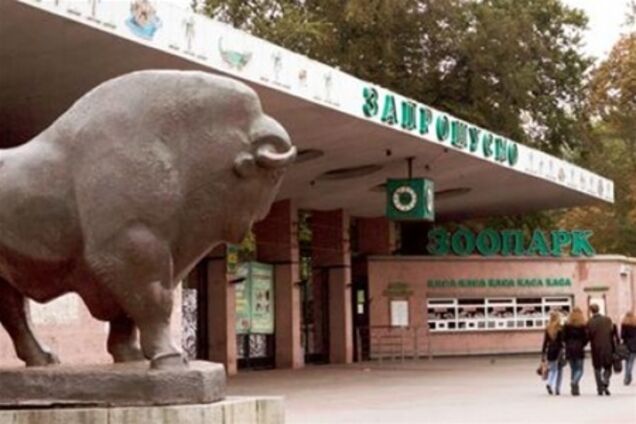Київський зоопарк обладнають камерами спостереження