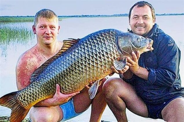 Волинь. Рибалки зловили коропа вагою з 10-річну дитину