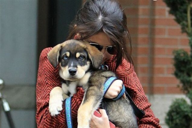 У Гомес появился любимчик