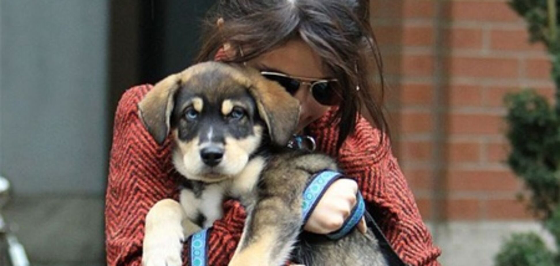 У Гомес появился любимчик