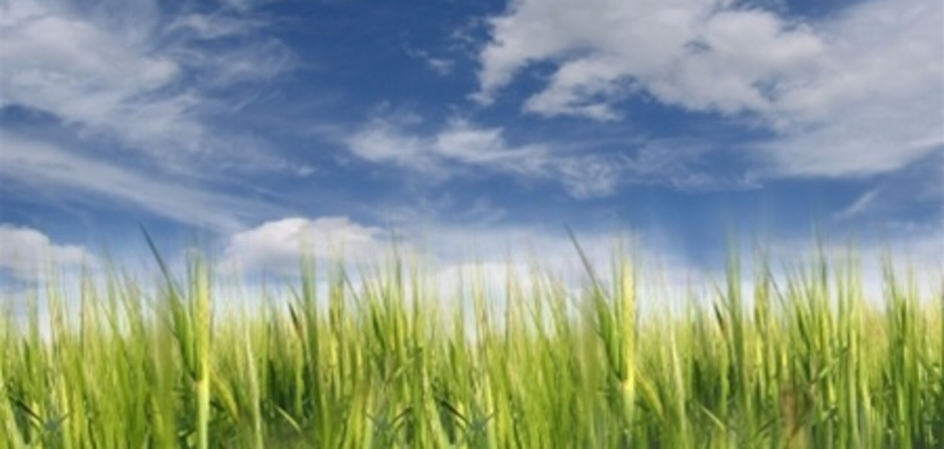 Украинская земля дешевеет