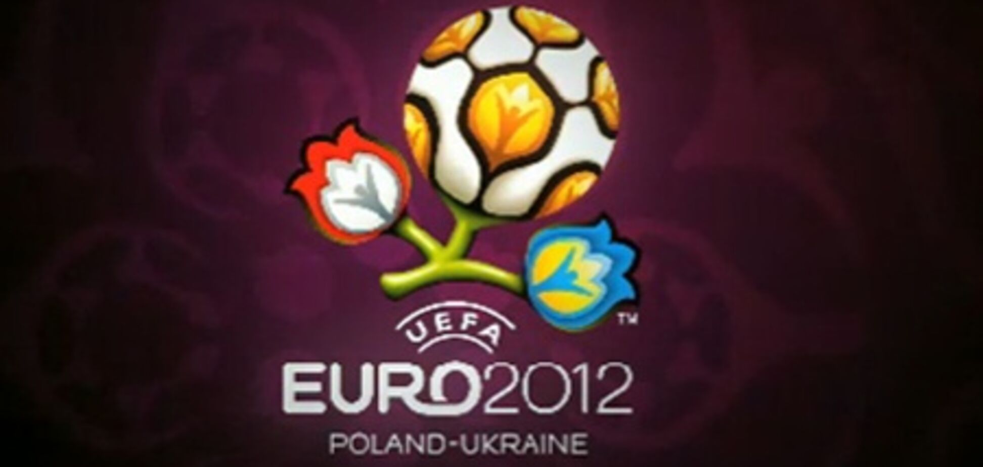 Нацбанк упростил валютные правила перед Евро-2012