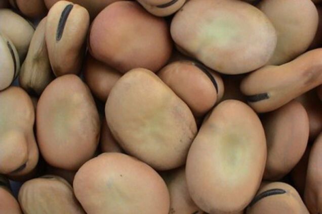 Бобы под соусом