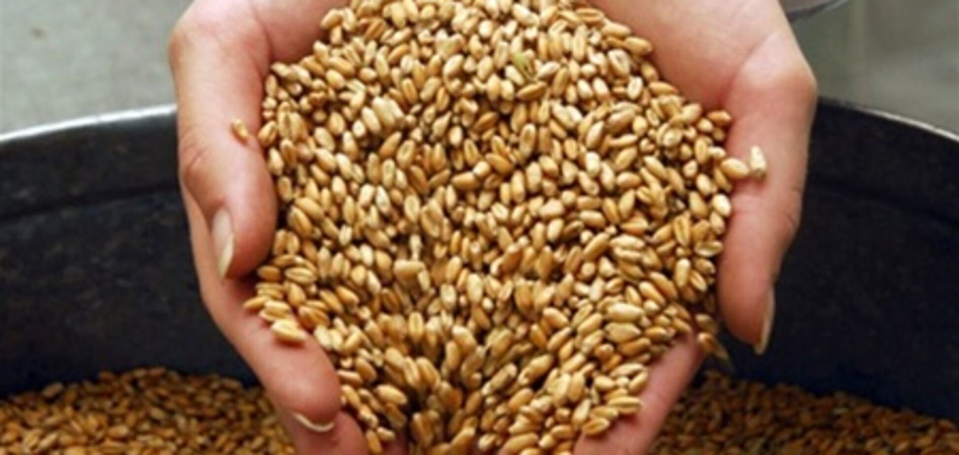 Украина устроила распродажу зерновых
