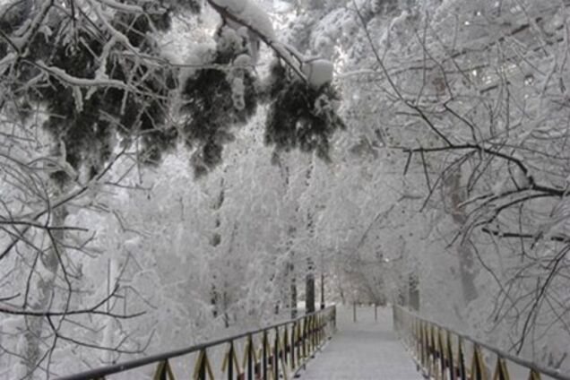 В Украину придут сибирские морозы