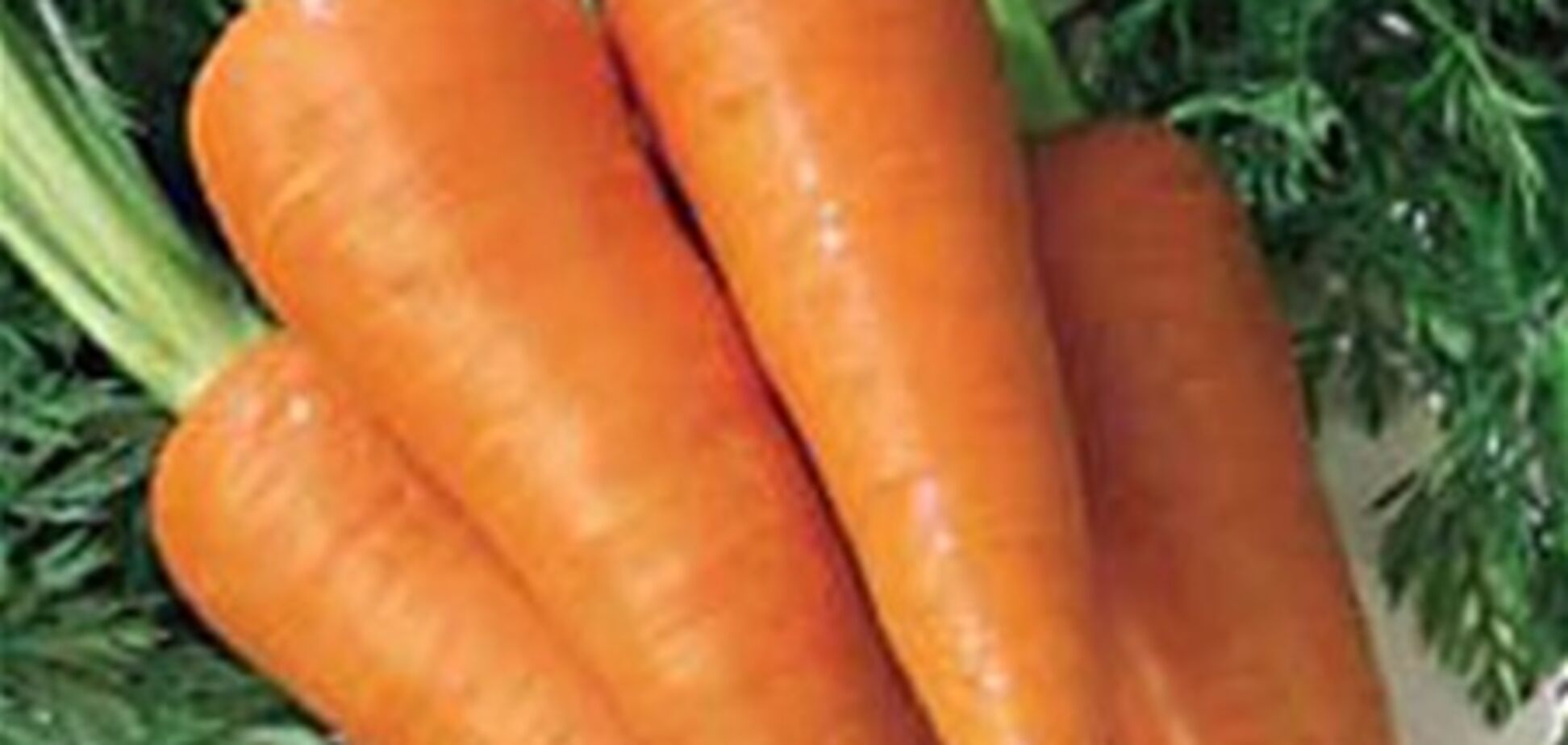 Морковь дорожает, а картофель дешевеет