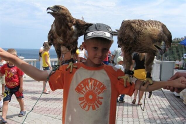 В Крыму ради денег животным ломают позвоночники