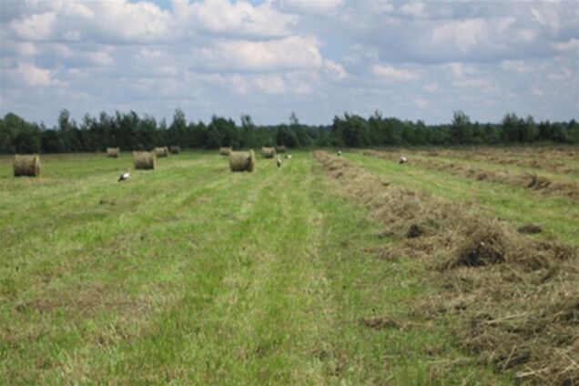 Пасовища, рілля та сіножатні планують паспортизувати
