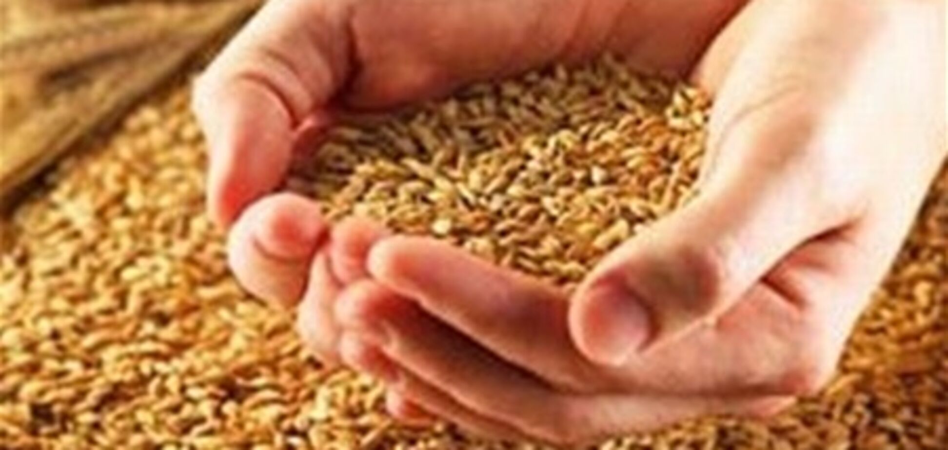 На мировых рынках российское зерно составит серьезную конкуренцию Украине