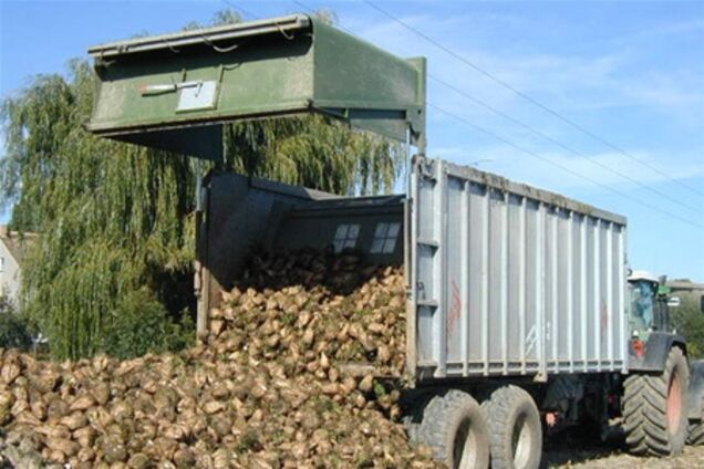 Рівненщина. Автомобіль з росіянами засипало буряком з вантажівки