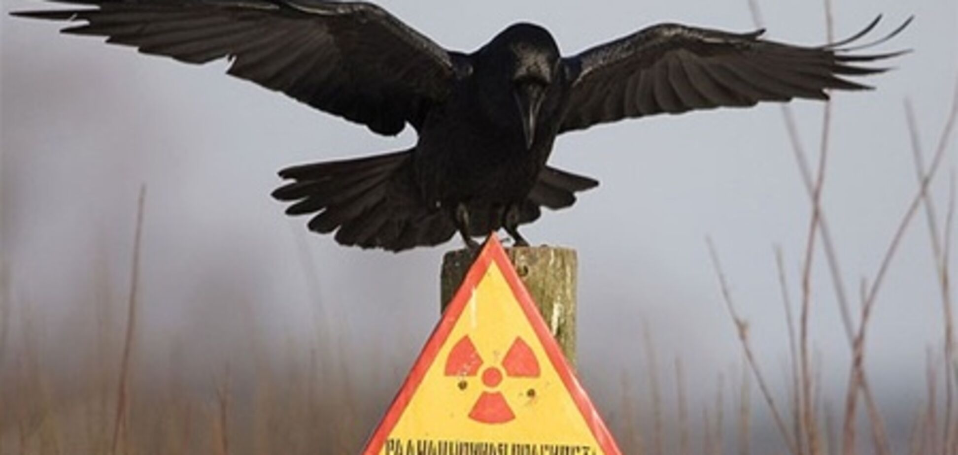 Чернобыльцы останутся без льгот?