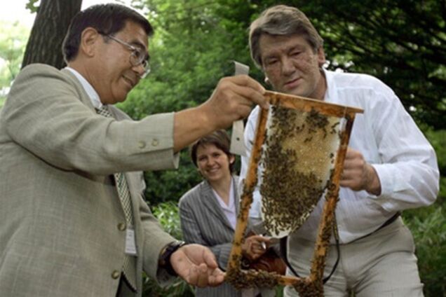 Експерт: посол Японії ледь не зробив харакірі через Ющенка з бджолами