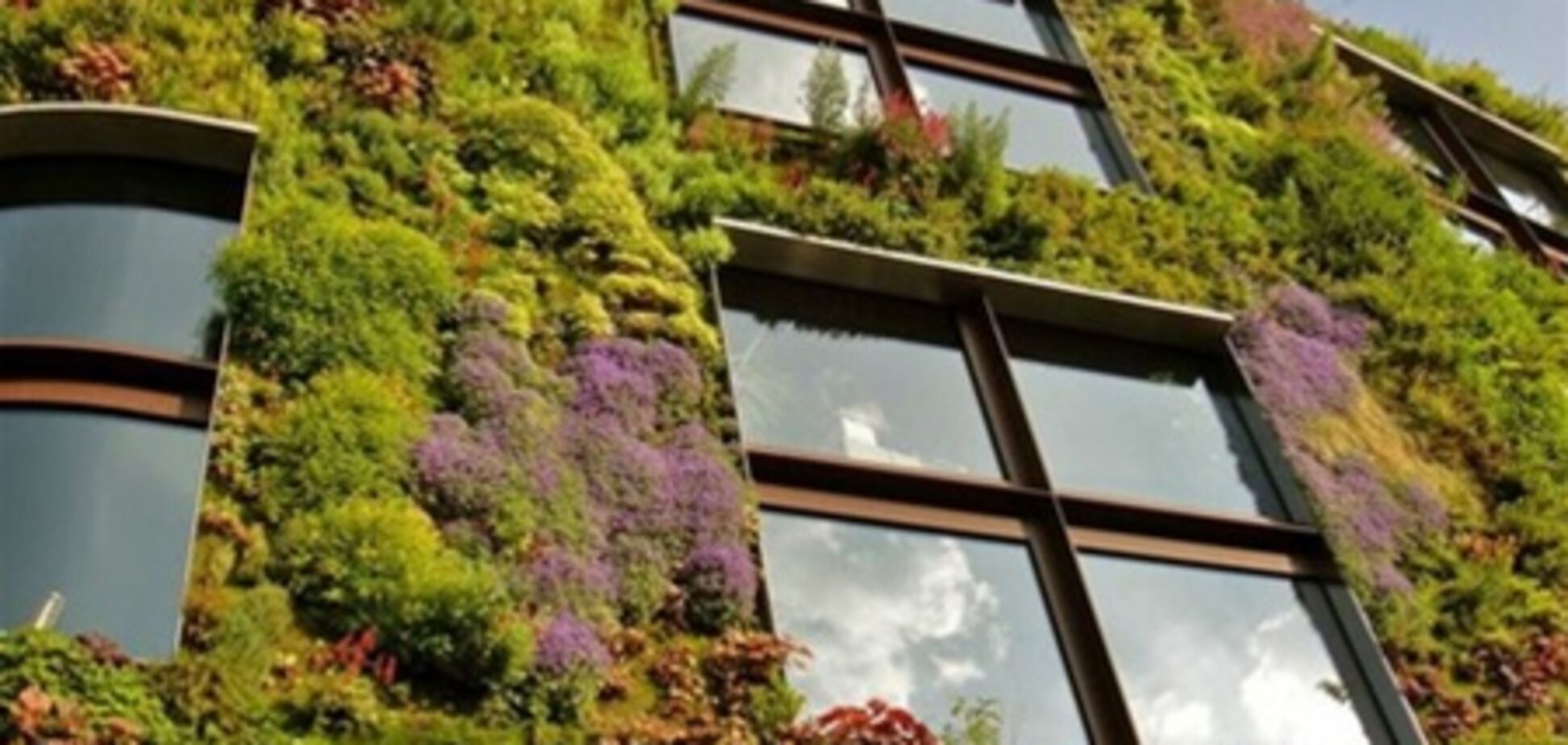 Приголомшливі вертикальні сади