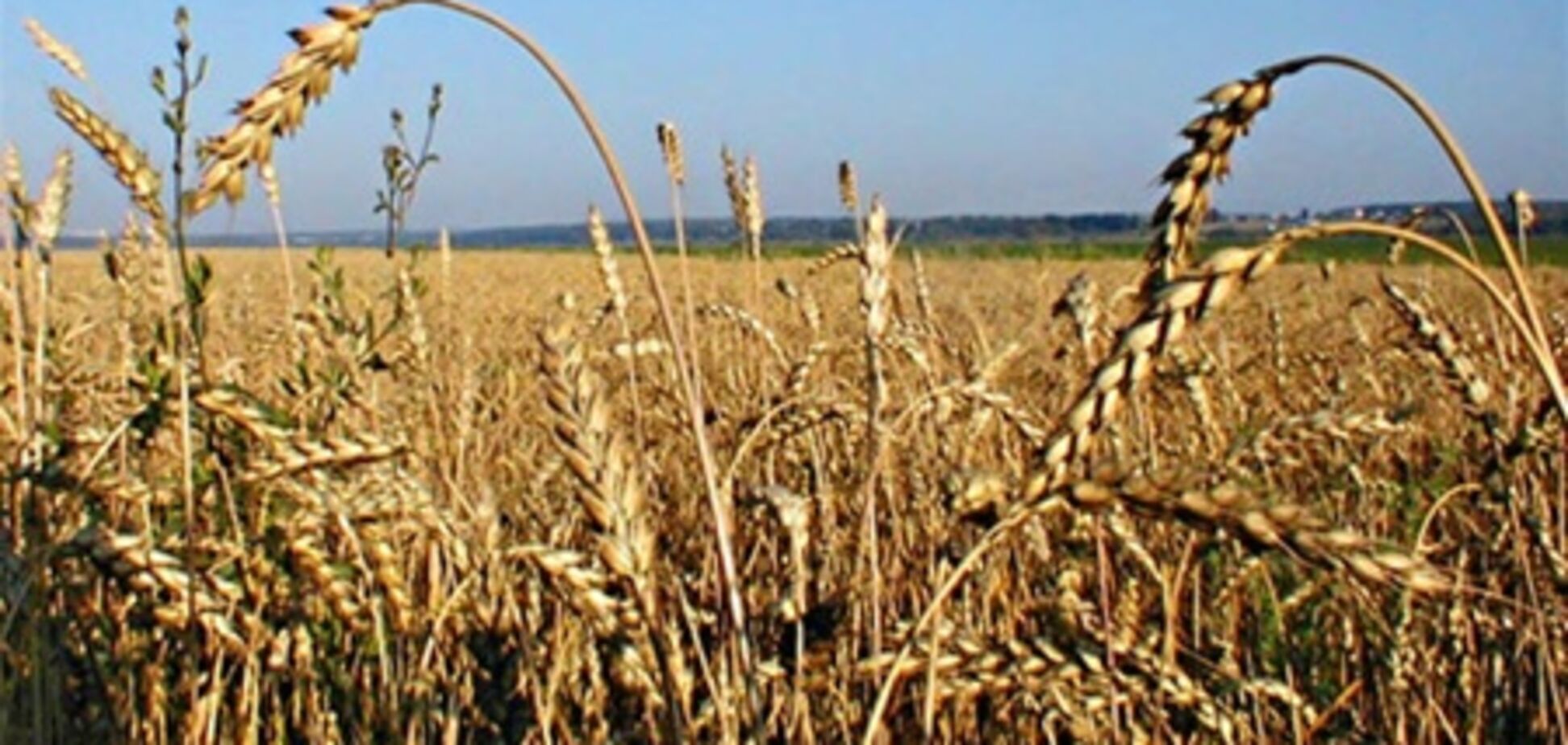 Азаров - аграріям: ми не ведемо діалог через гучномовці