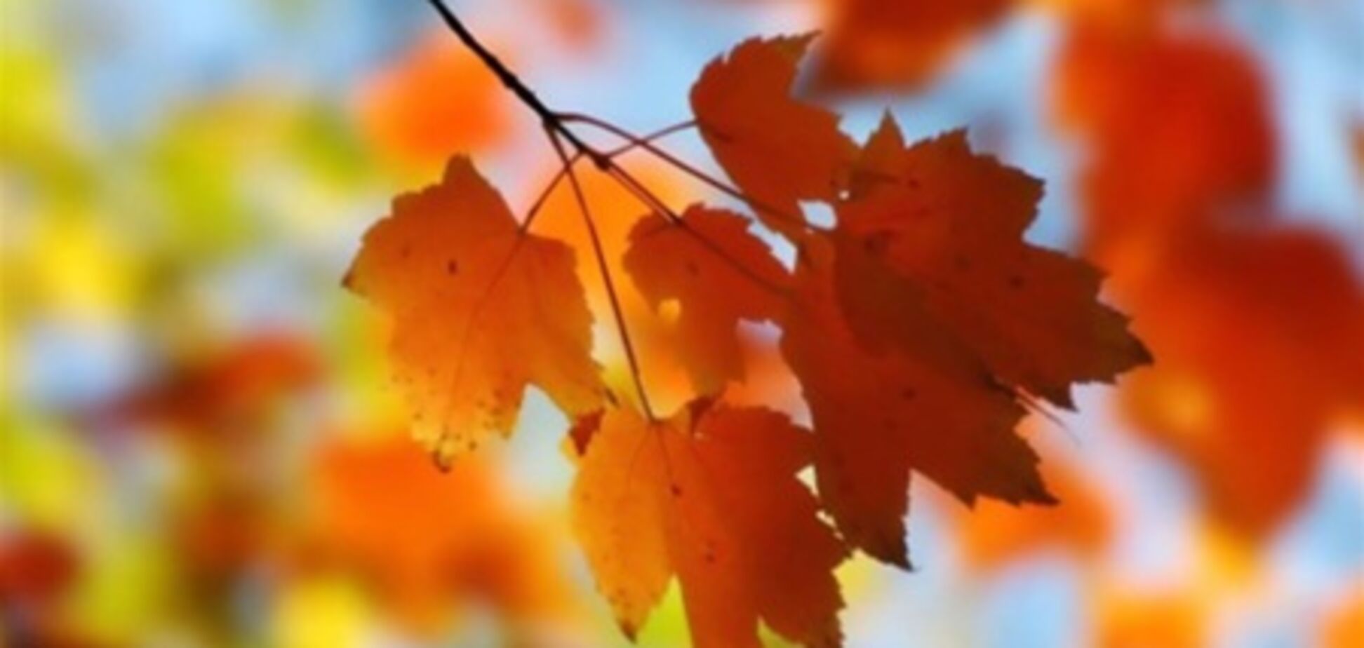 Погода, як у квітні: синоптики заявили про різке потепління в Україні