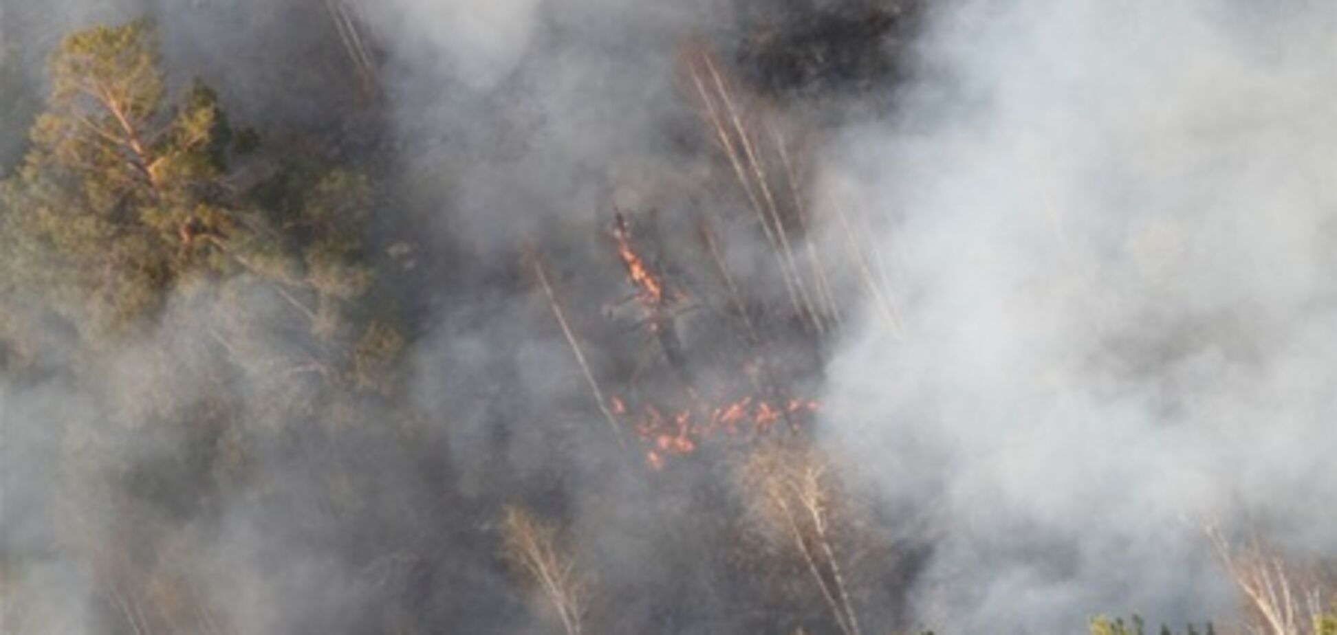В Одесской области горит Дунайский заповедник