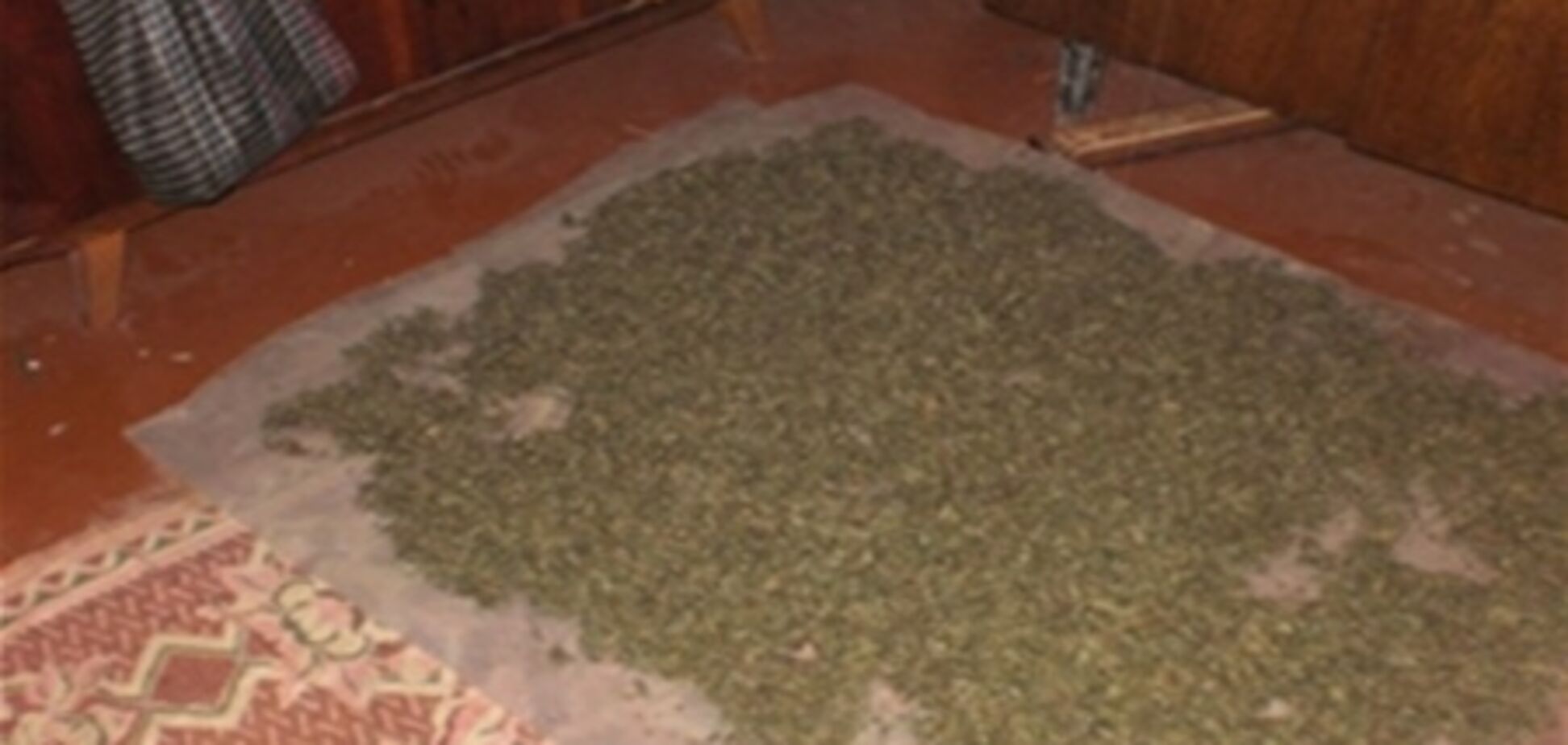 Харьковская милиция нашла в квартире ковер из 4,5 килограмма конопли
