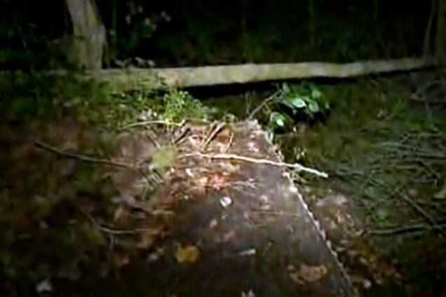 У США бомжі вкрали міст