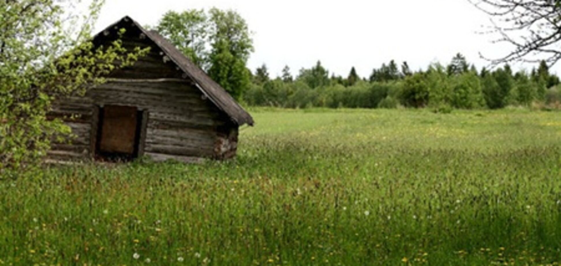 Олигархи не скупят всю землю - Тимченко