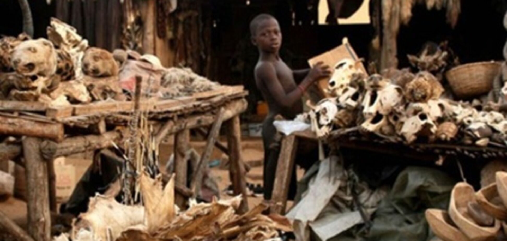 Крупнейший в мире Вуду базар