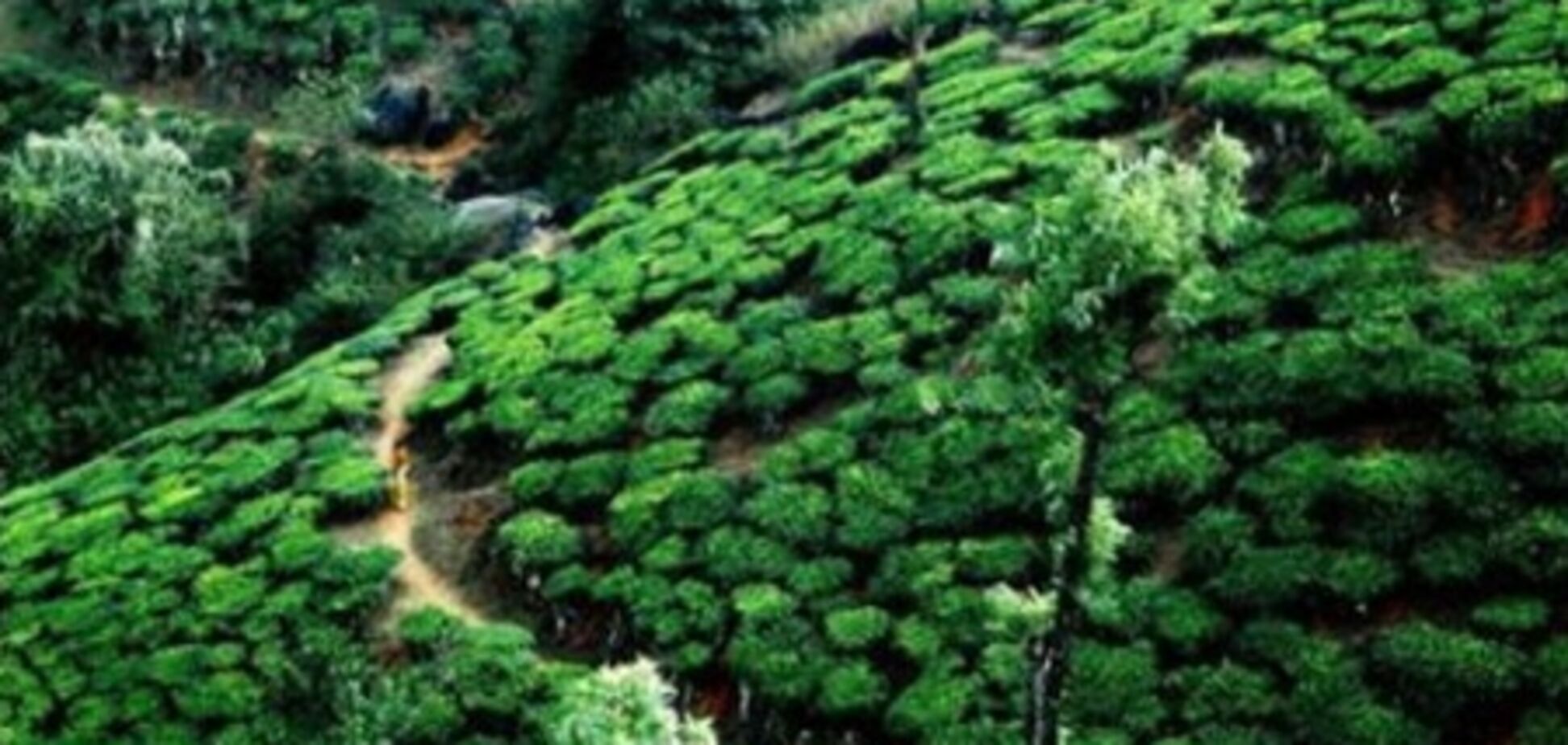 Индийский штат Керала привлечет туристов компьютерной игрой