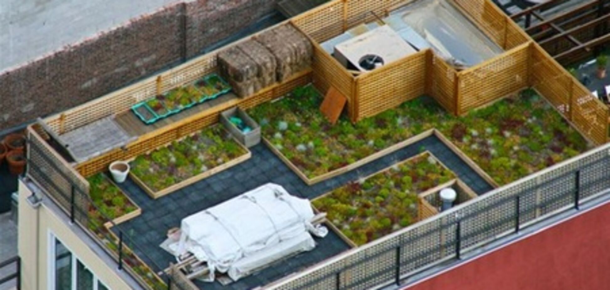 Собственный сад на крыше дома - это реальность