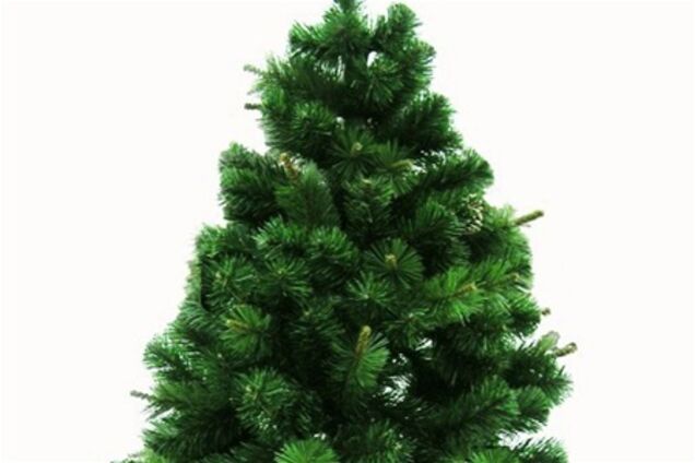 Донецьк. Новорічні ялинки продаватимуть від 100 грн