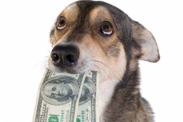 Собака з'їла $1000