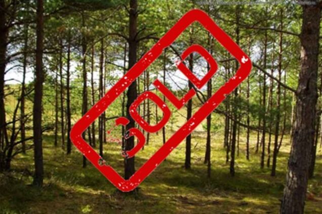 Суд идет – щепки летят. Правила воровства - 2