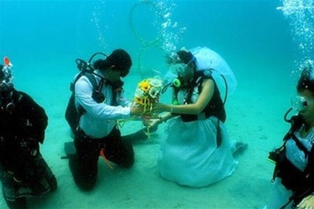 Молодоженам предлагают провести свадьбу в окружении акул