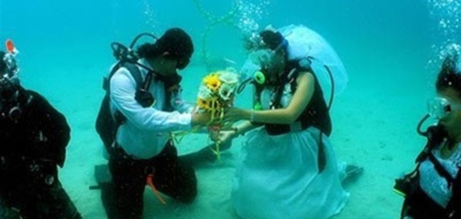 Молодоженам предлагают провести свадьбу в окружении акул