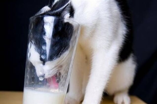 Молочные беды Украины