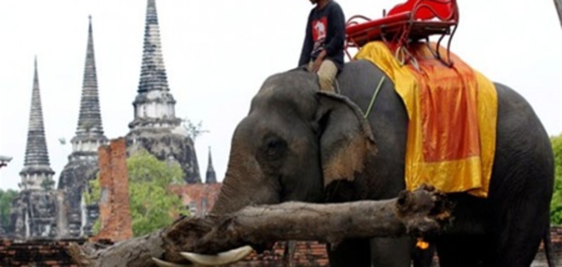 В Таиланде возобновил работу Королевский парк слонов