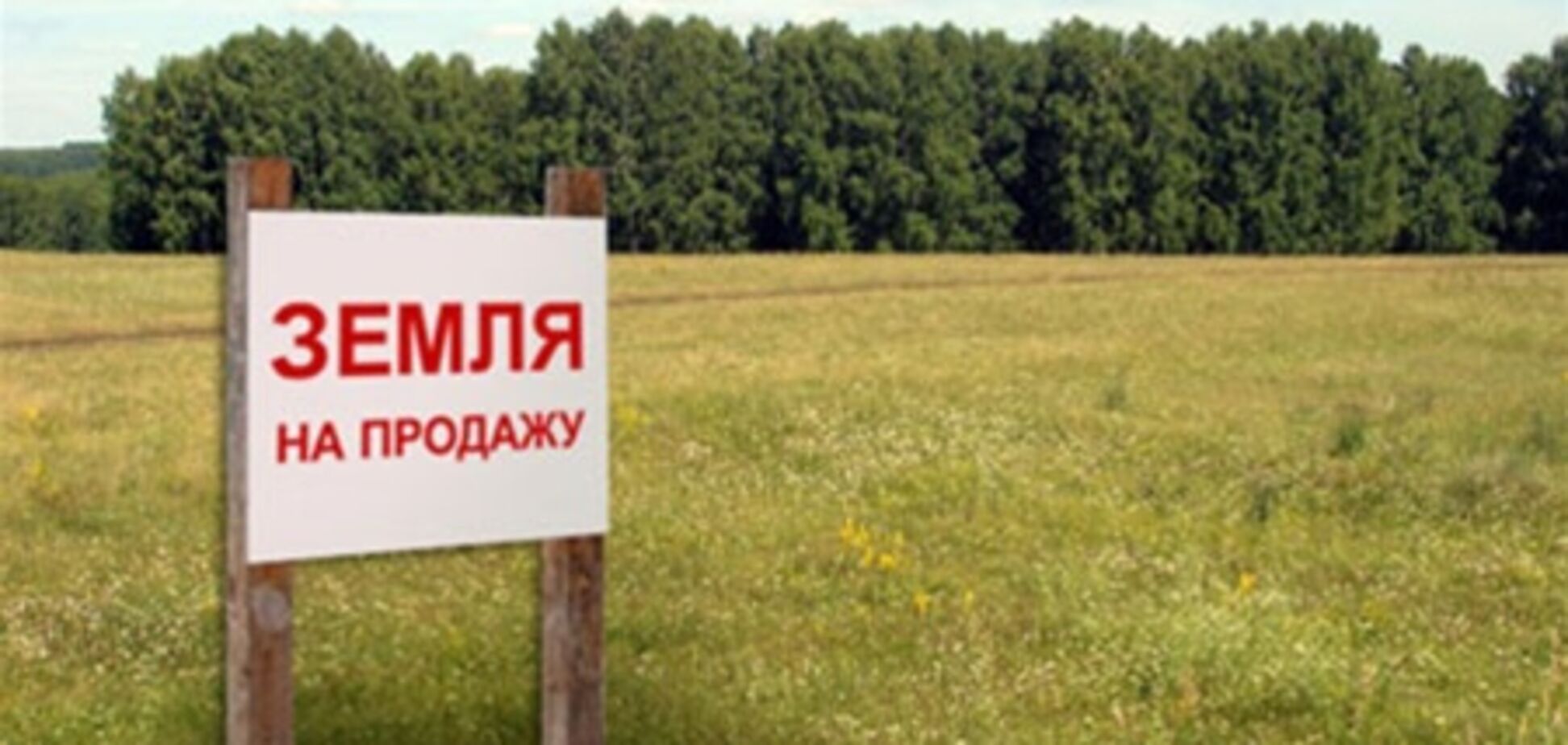 Европейские инвесторы хотят покупать украинскую землю