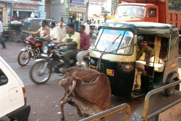 Особенности дорожного движения в Индии