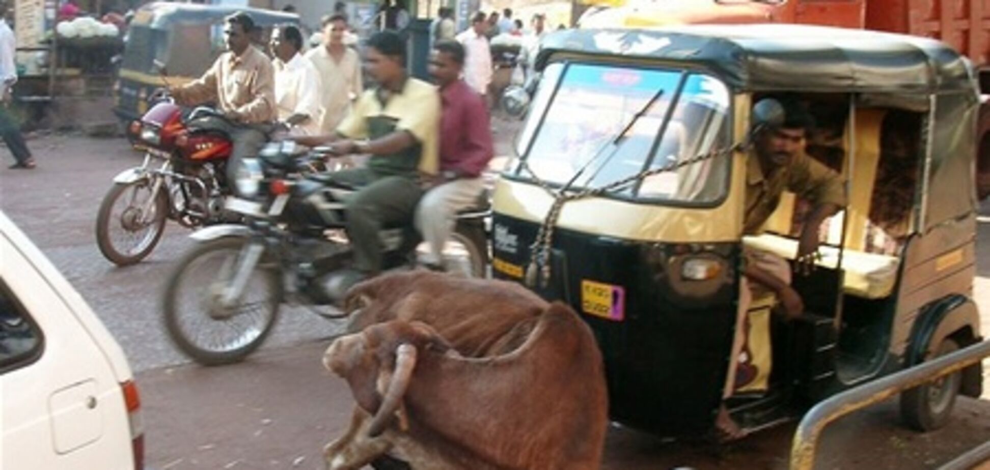 Особенности дорожного движения в Индии