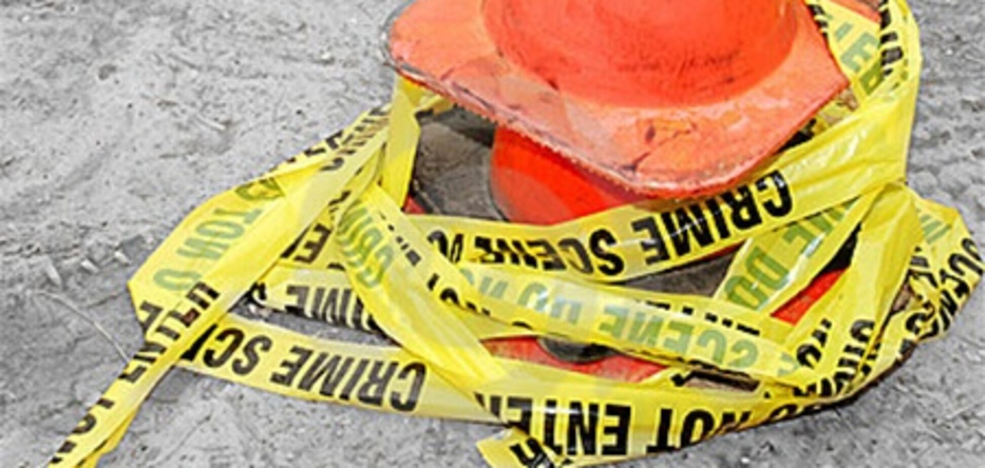 У Харківській області в лісосмузі знайшли тіло немовляти