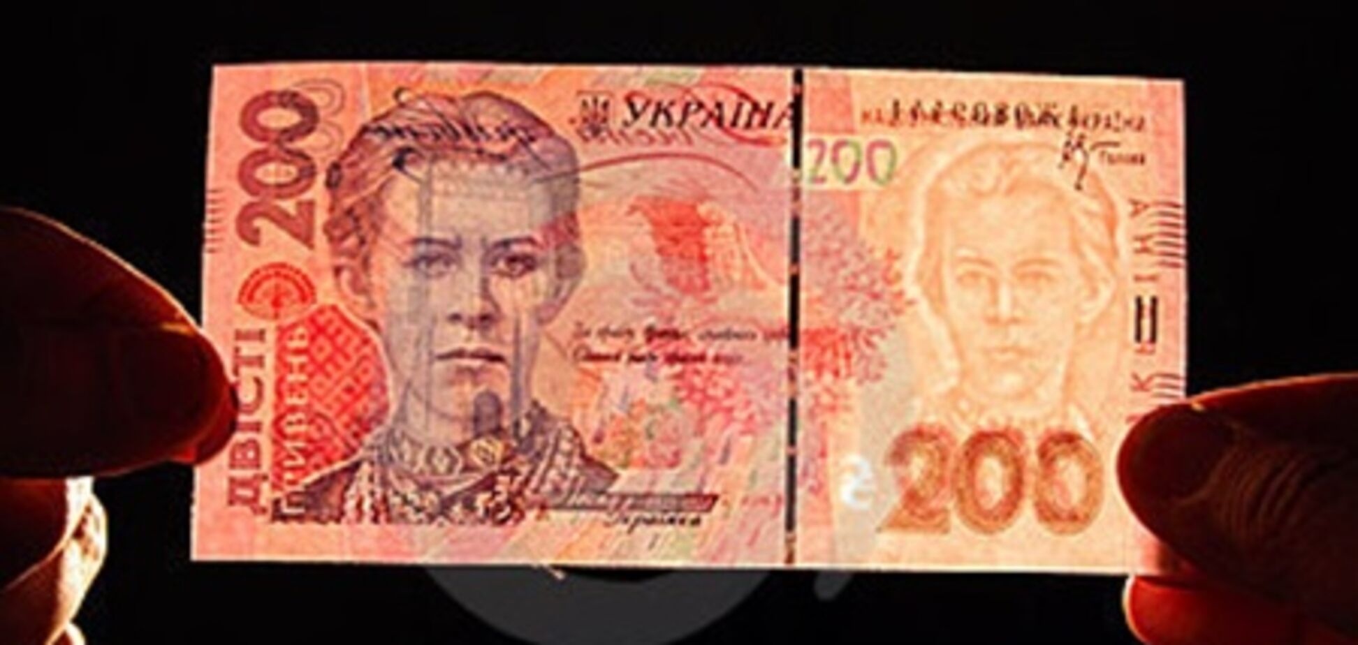 Гривня по защите не уступает другим валютам