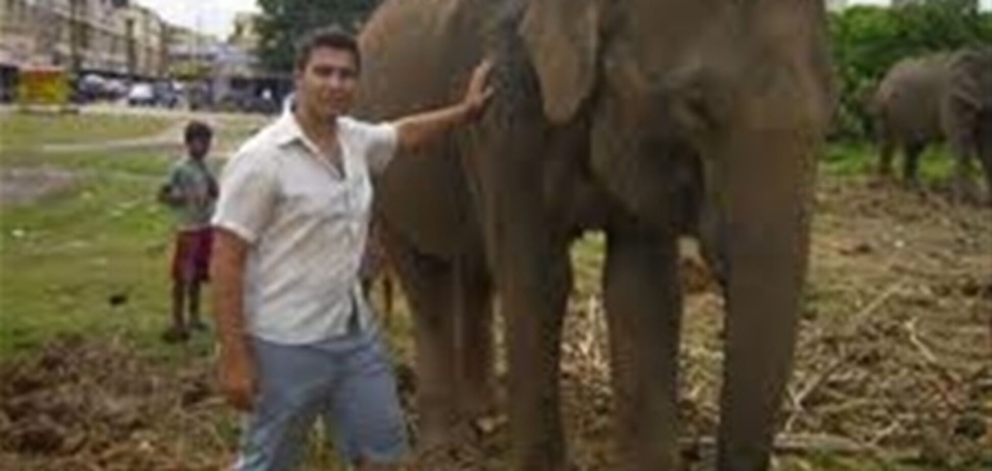 У Таїланді слони ходять на лікарняні і отримують пенсію