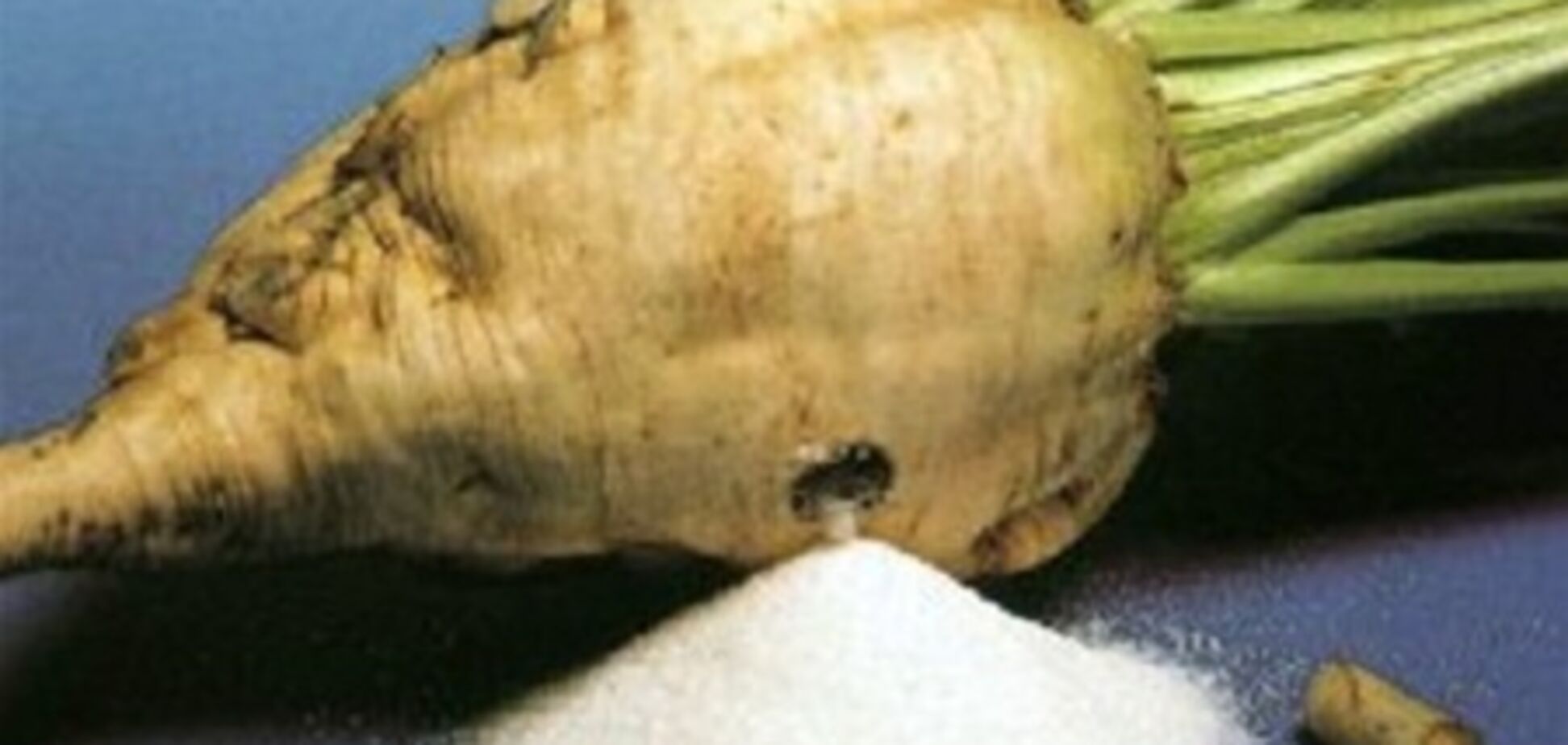 Україна може постраждати від перевиробництва цукру