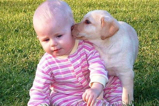 Рівне. Дітей лікують 'собакотерапією'