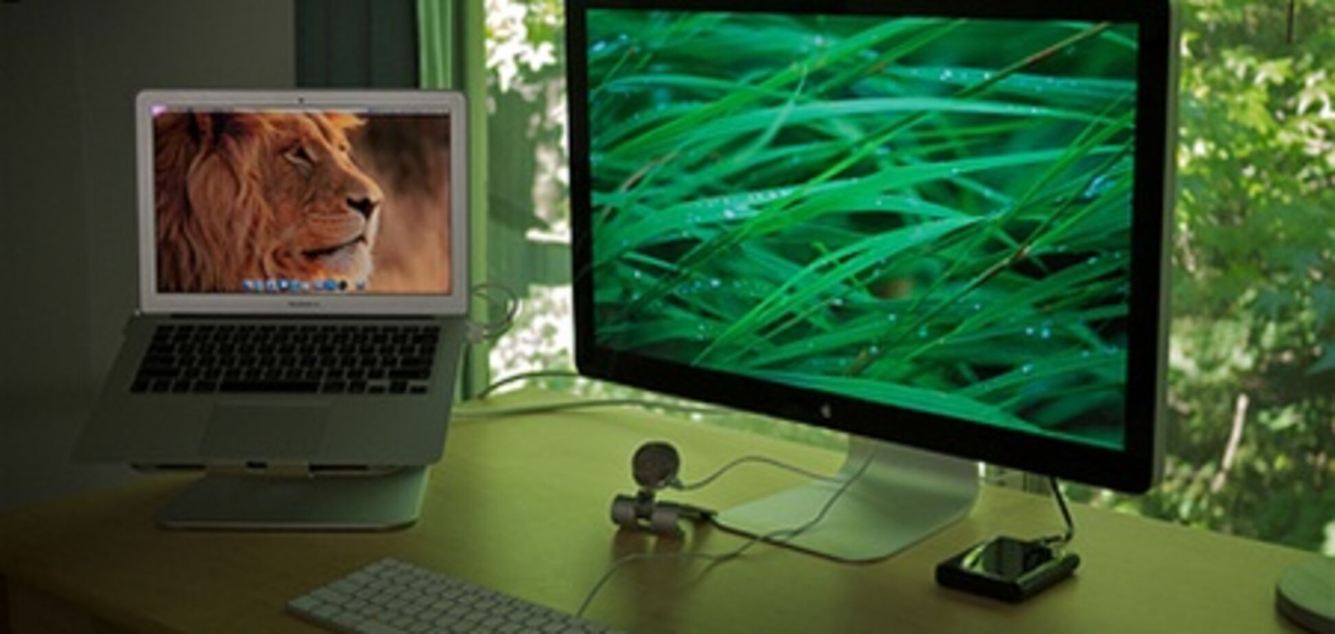 «Яблочные» натюрморты: 40 самых красивых фото с устройствами Apple