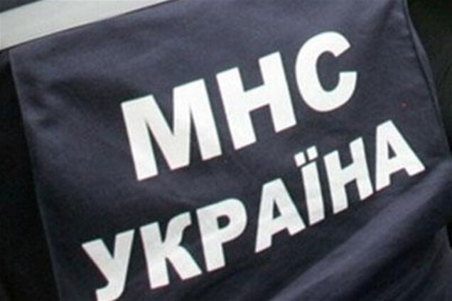 У Криму скажений кіт покусав двох людей